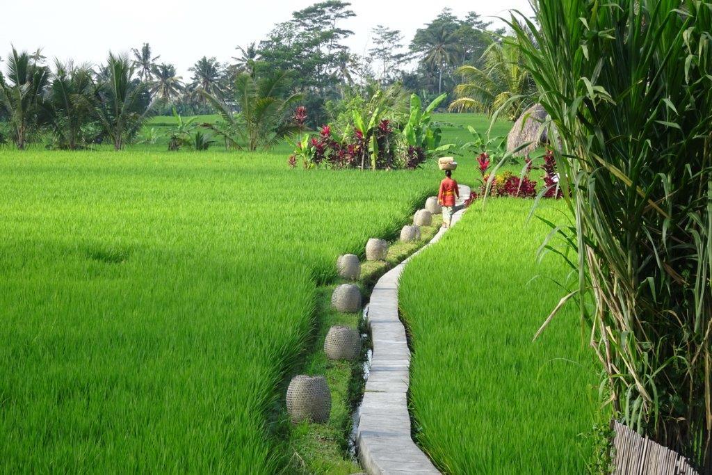 Mathis Retreat Ubud Eksteriør billede