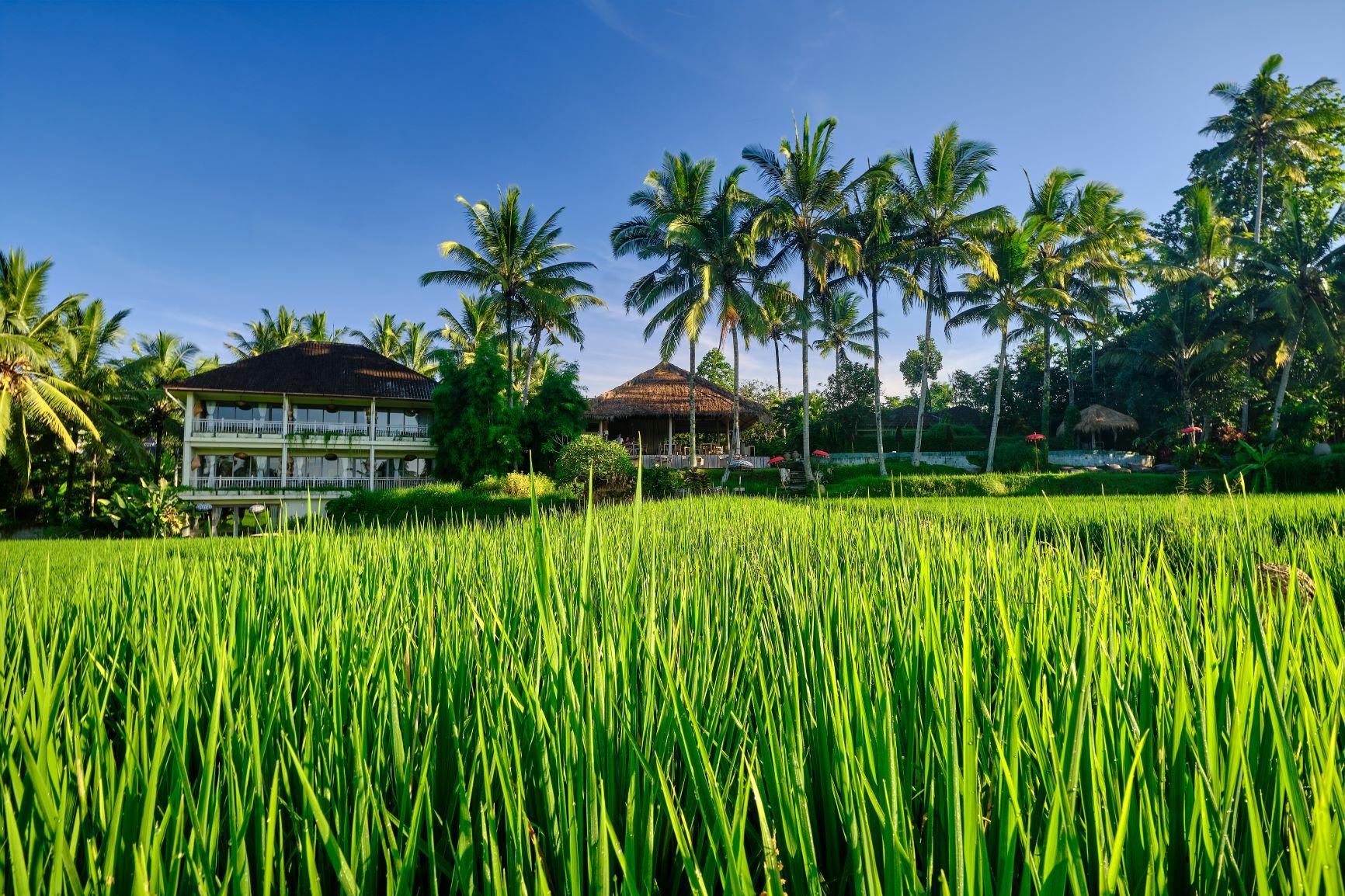 Mathis Retreat Ubud Eksteriør billede