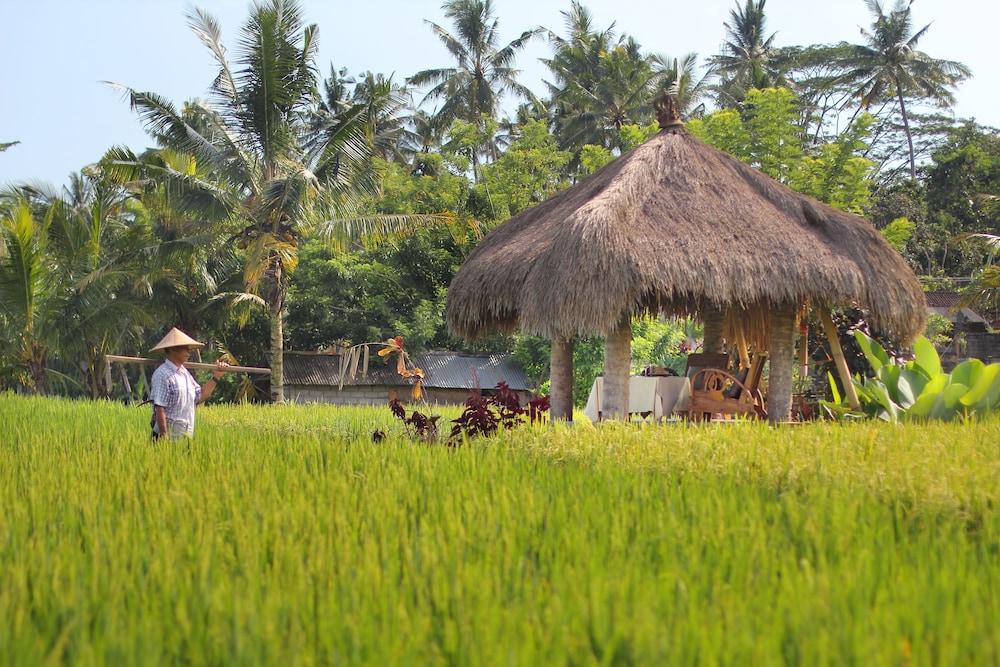 Mathis Retreat Ubud Eksteriør billede