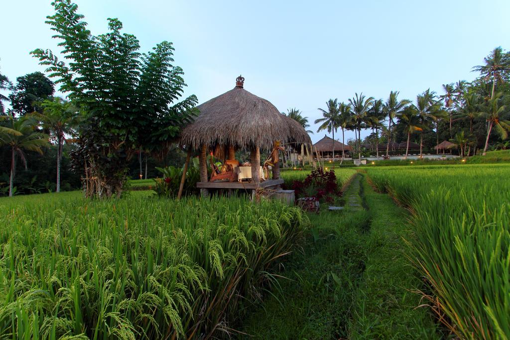 Mathis Retreat Ubud Eksteriør billede